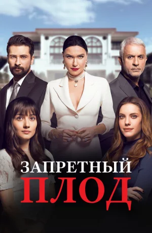 Дорама Запретный плод онлайн